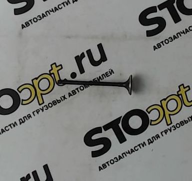 Клапан выпускной 1003013GG010