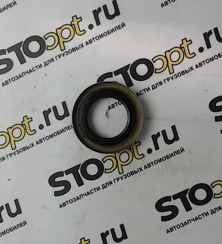 Сальник редуктора n56 4205830020