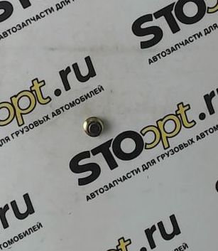 Пробка сливная Q62104